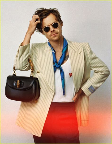 harry styles collab gucci|harry styles gucci campaign.